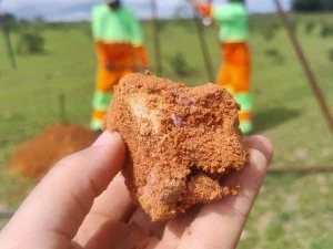 Uma mão segurando uma amostra de solo de campo