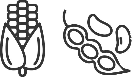 CLI